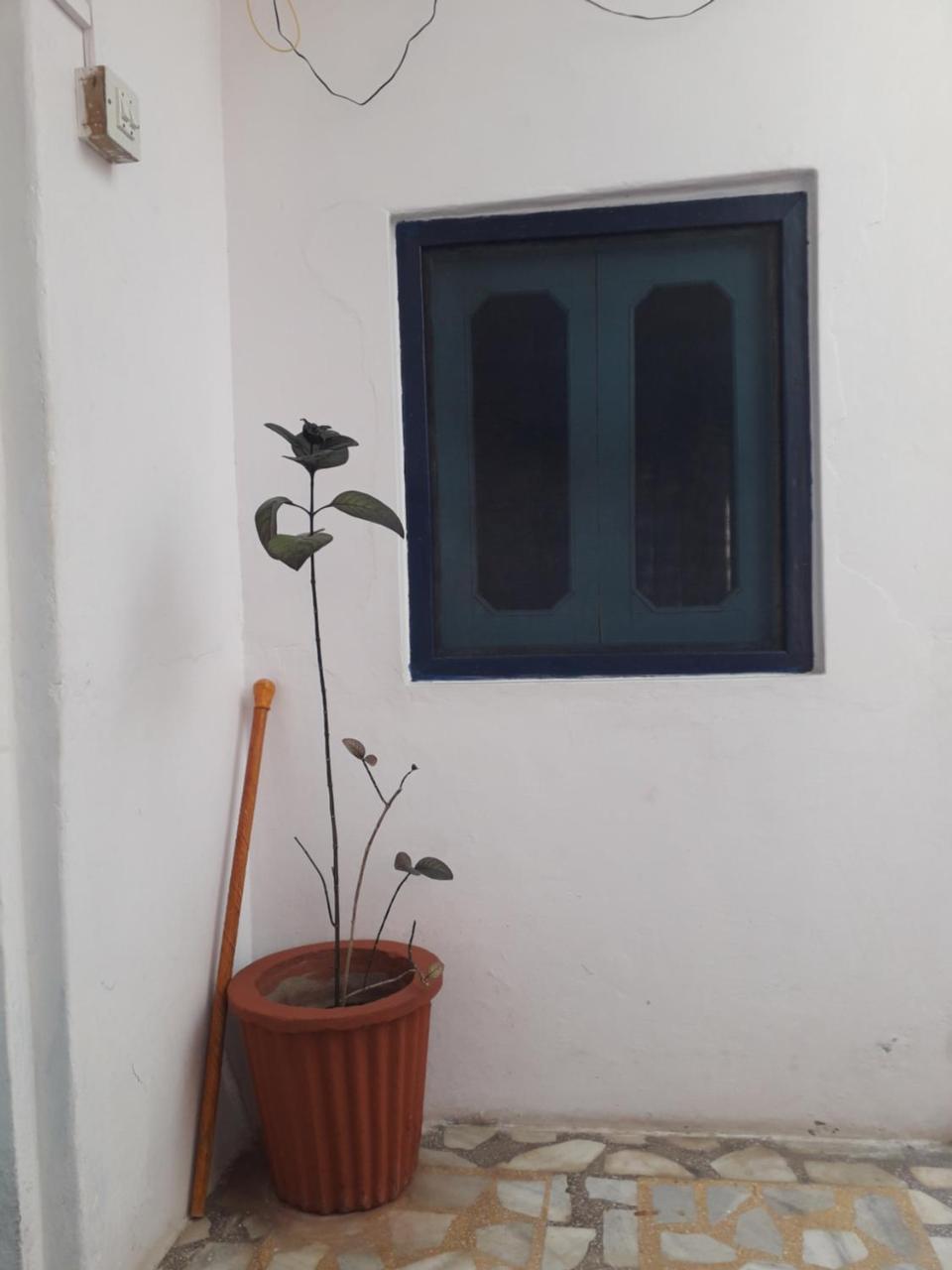 Rajguru Guest House 布什格尔 外观 照片